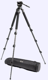 safari tripod